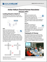 Newsletter January 2011